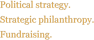 Political strategy.  Strategic philanthropy.  Fundraising.